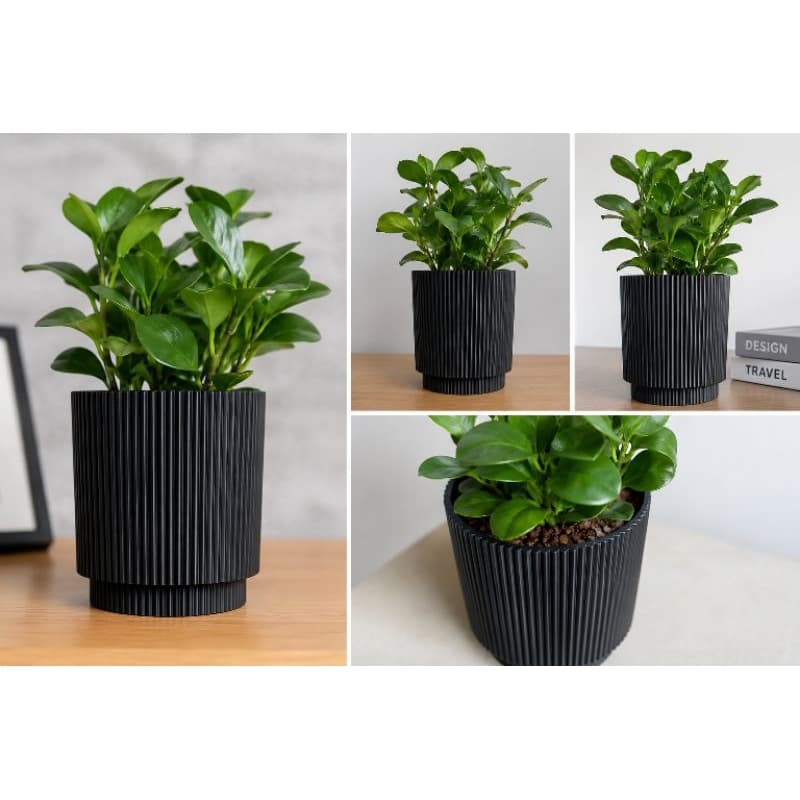 Vaso Autoirrigável para Plantas - Sistema de Irrigação Automática Canelado Design Moderno Elegante Dec Plantas e flores