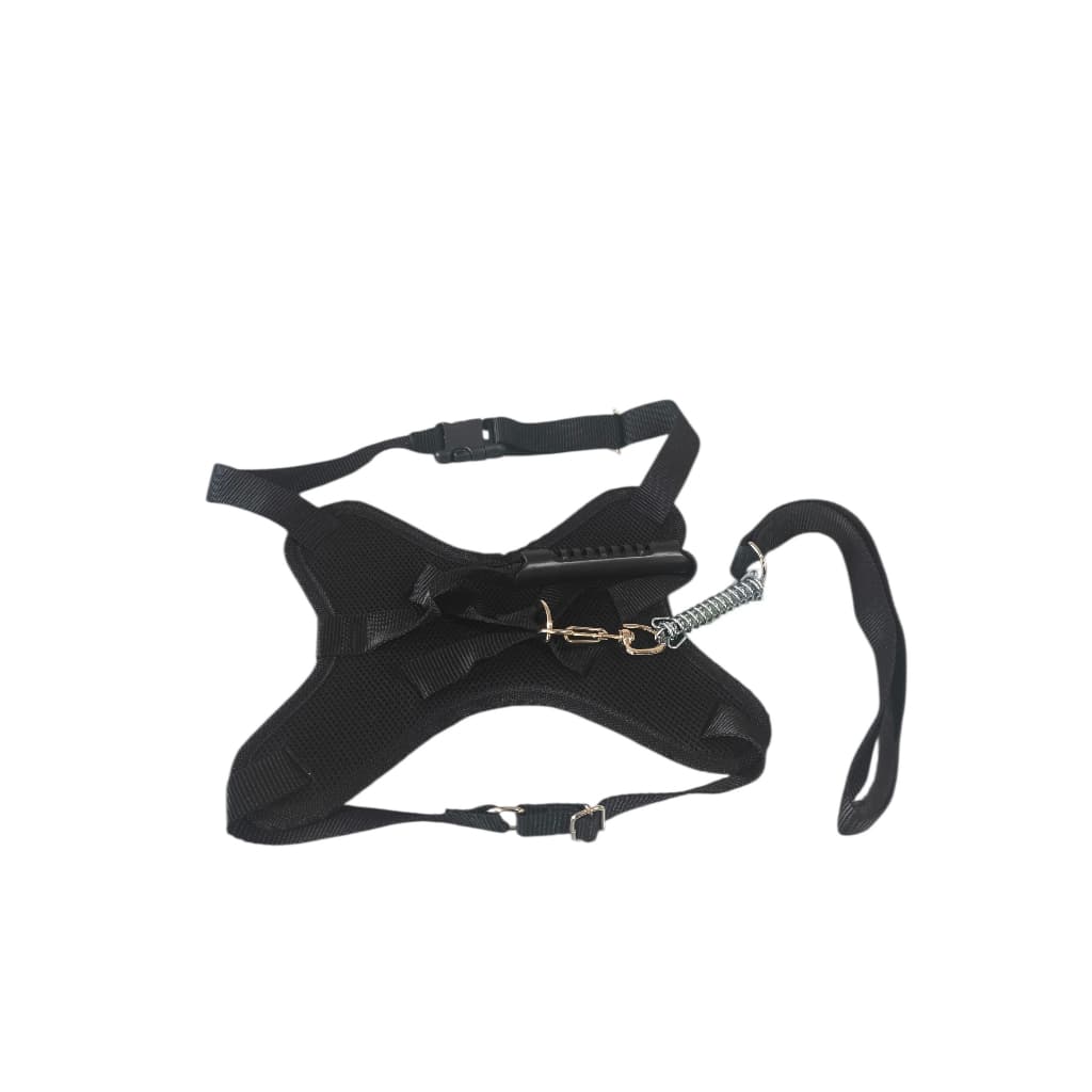 Kit 2 Peças Peitoral Stilo E.V.A. Confortável E Guia Ajustável Cachorro