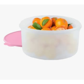 Tupperware Porta Tudo 10 litros