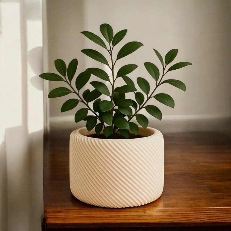 Vaso Decorativo Espiral Moderno para Plantas Suculentas Cachepot 3D Geométrico