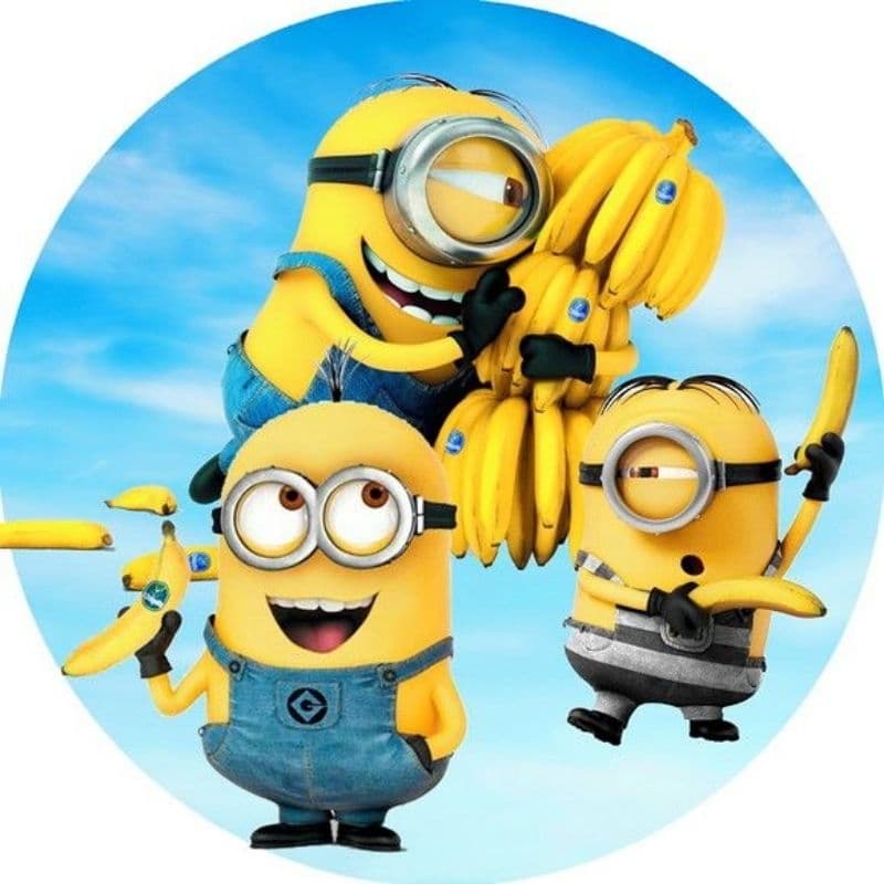 capa para painel Minions 50x50cm circular com elástico