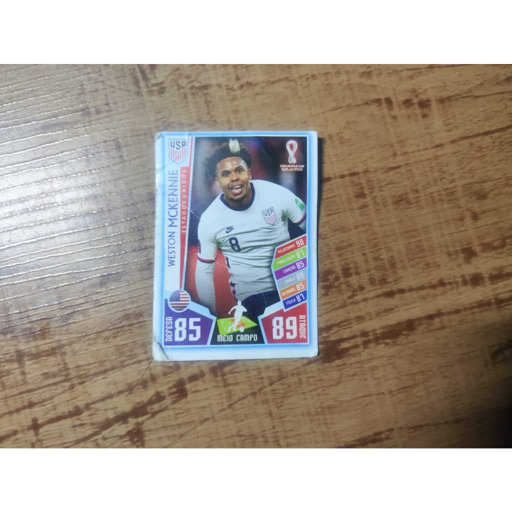 catinha de 2022