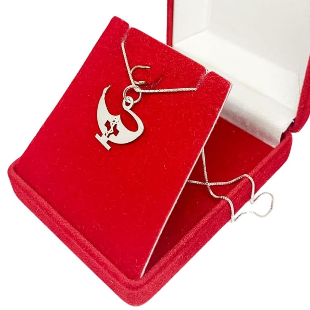 Colar 45 cm c/ Pingente em Prata 925 Símbolo Enfermagem