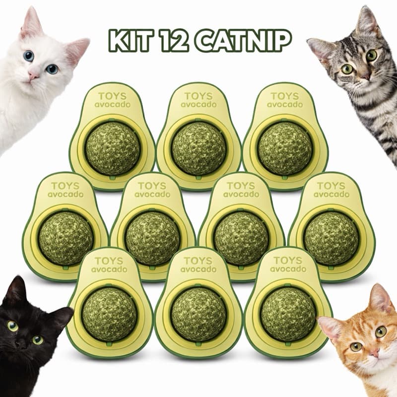 Kit Com 8/10/12 Abacate Brinquedo Para Gatos Com Catnip Erva Gato Natural Mordedor Limpeza Dentes