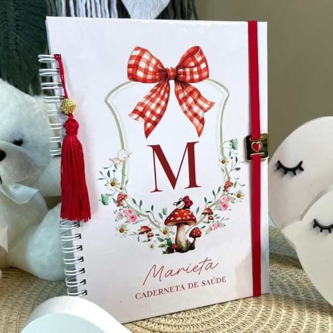 CADERNETA DE SAUDE VACINAÇAO PERSONALIZADA LUXO MENINA LAÇO XADREZ