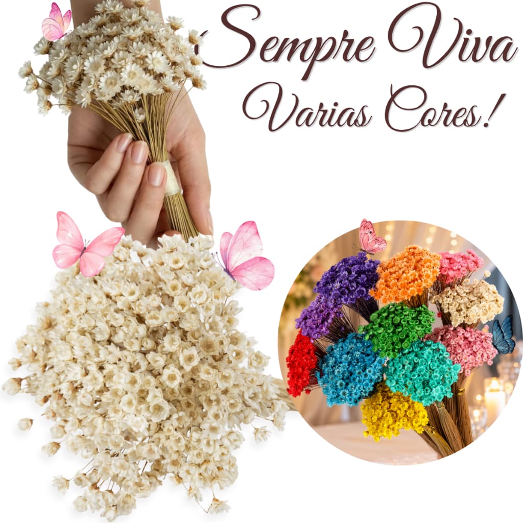 Flor Sempre Viva Desidratada Varias Cores Buque Mosquitinhos em Atacado