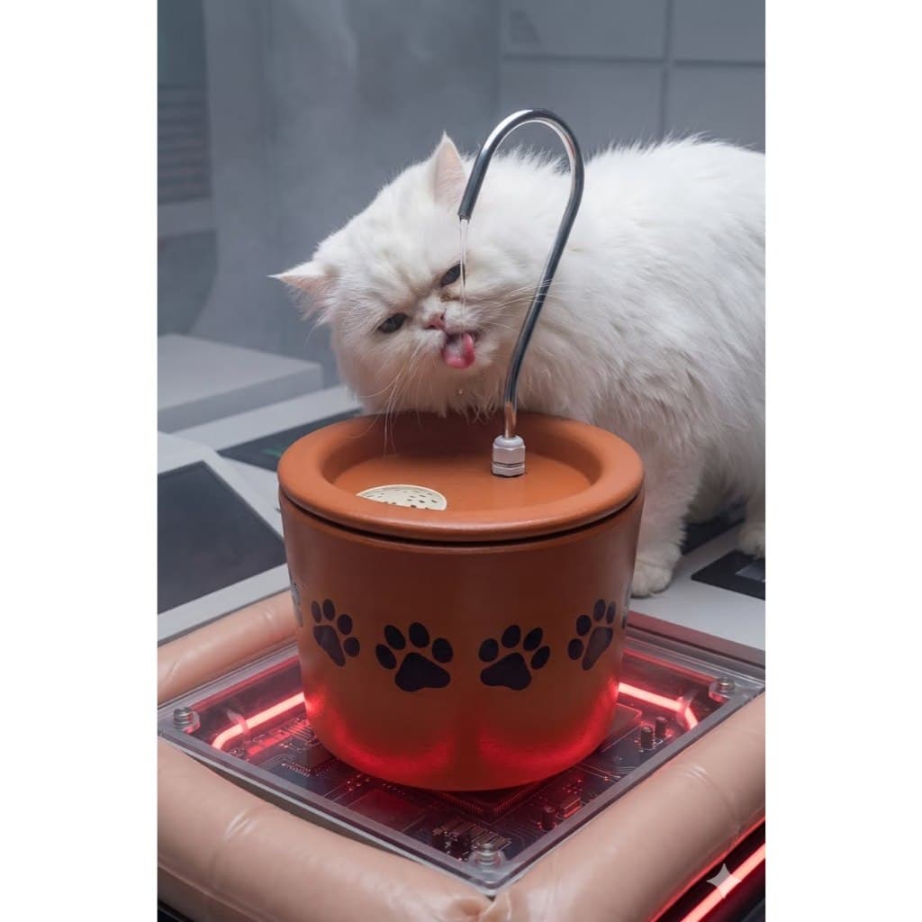 Bebedouro Fonte Cerâmica Gatos 3L