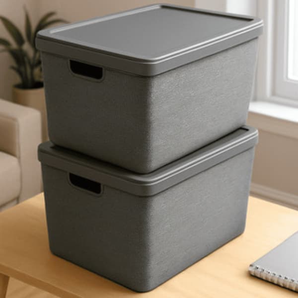 Kit com 2 Unidades Caixa Organizadora Multiuso 22L Cores Variadas