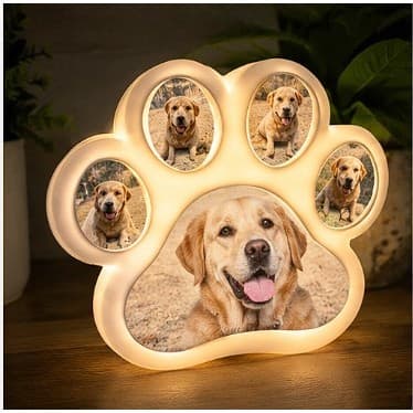 Luminária Pet Personalizada Com Foto Cachorro Gato LED Presente Criativo Decorativo