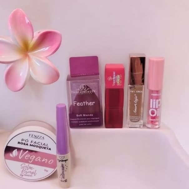 Kit de maquiagem Profissional,Lip gloss oil,Contorno líquido,Pó Facial Rosa mosqueta,Esponja de make,Delineador e Brinde