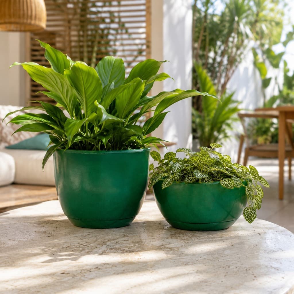 Kit Jogo 2 Vasos de Plantas Decorativo Bojo Bacia Cuia Lisa Mini com Prato Suculentas em Polietileno
