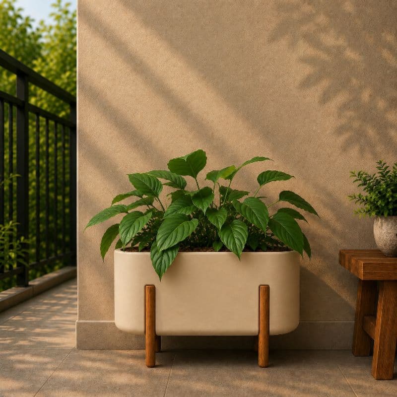 Jardineira Nórdica P Moderna | Jardineira para Plantas, Resistente, Impermeável e Sustentável