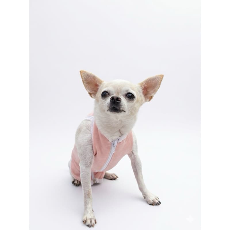 Roupa Pós Cirúrgica para Cães  | Recuperação Pós-Operatória | Confortável e Respirável