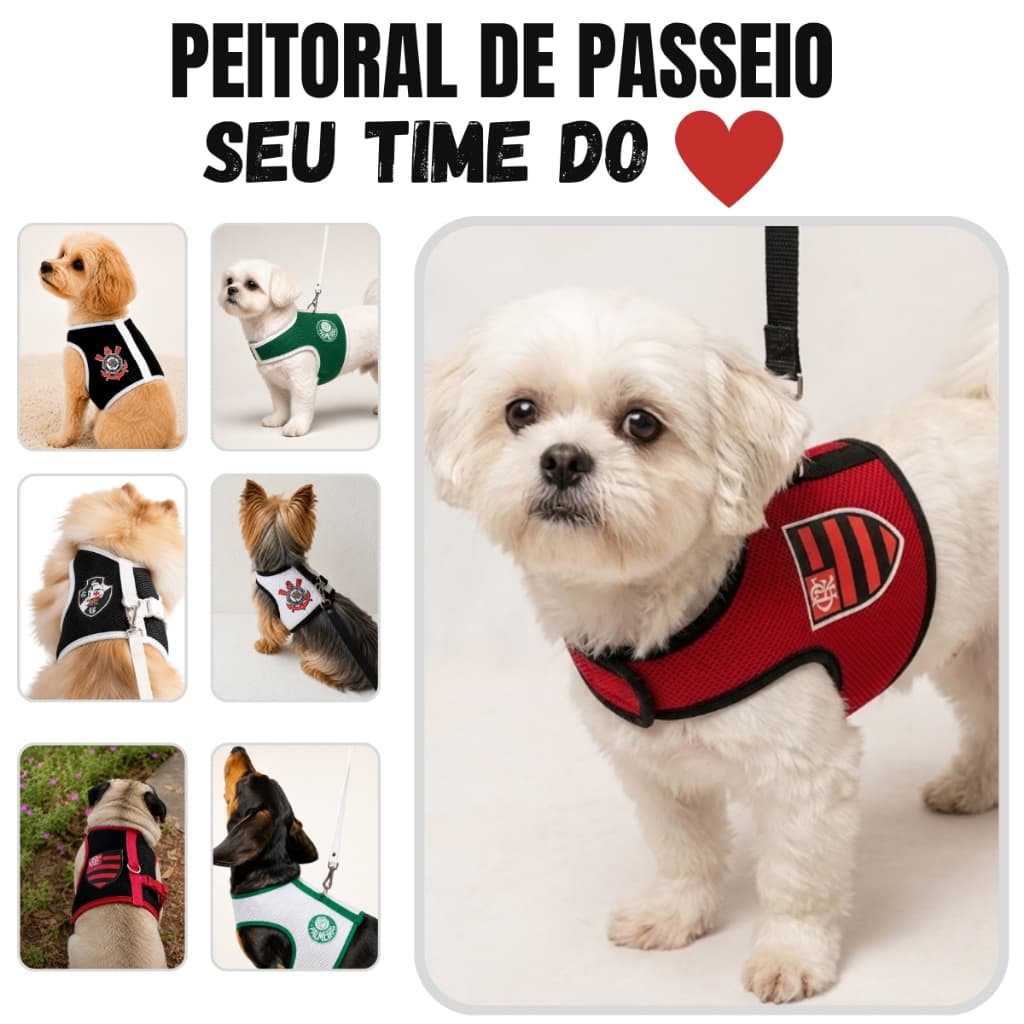 Coleira peitoral Time de Futebol com Guia 1 Metro