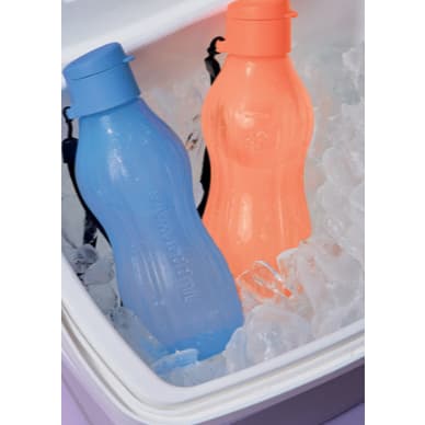 Eco Tupper Garrafa Freezer 470ml Tupperware