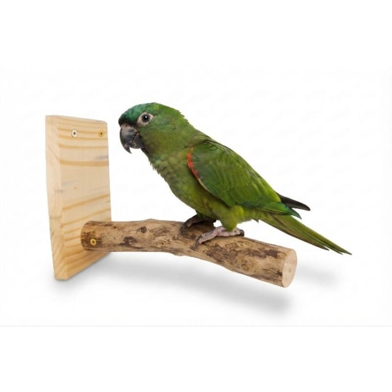 Poleiro de Parede para Papagaio em Galho Natural | Madeira Natural | 30, 40 ou 50 cm | Poleiro Reto para Araras