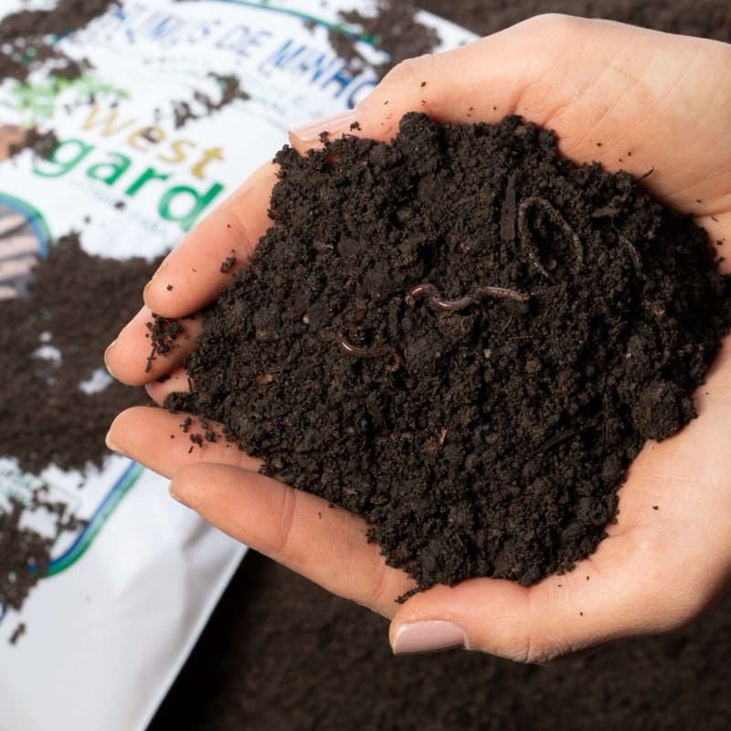 Terra Vegetal Adubada 12kg Substrato Rico para Flores e Plantas