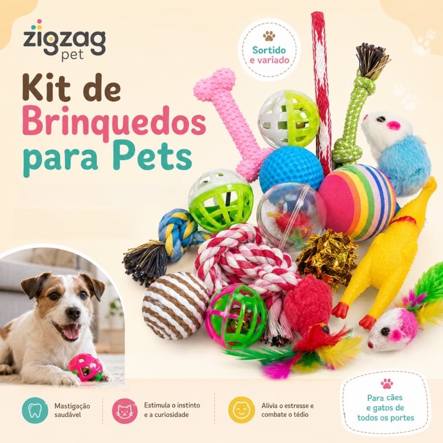 Kit 5/10/20 Brinquedos Interativos para Gatos Cachorros  Modelos Sortidos