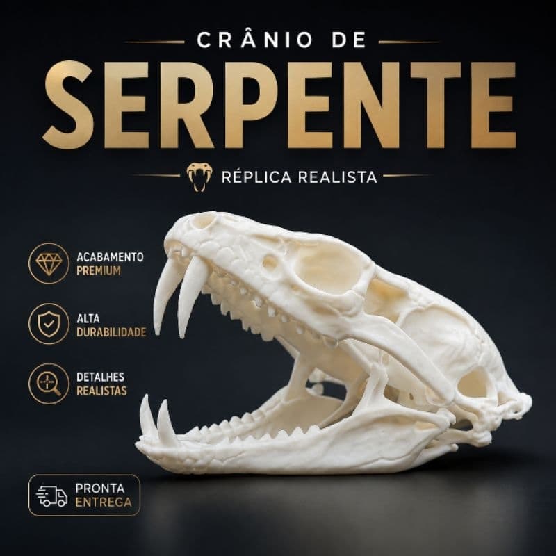 Crânio de Serpente | Fóssil | Réplica realista | Acabamento Premium | Decoração esqueleto cobra