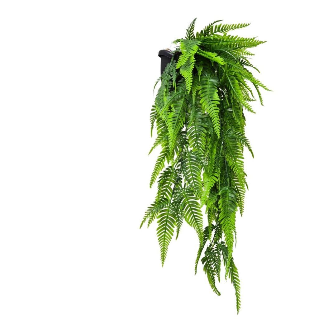 Arranjo De Parede Com folhagens Pendente Samambaia, fícus Artificial