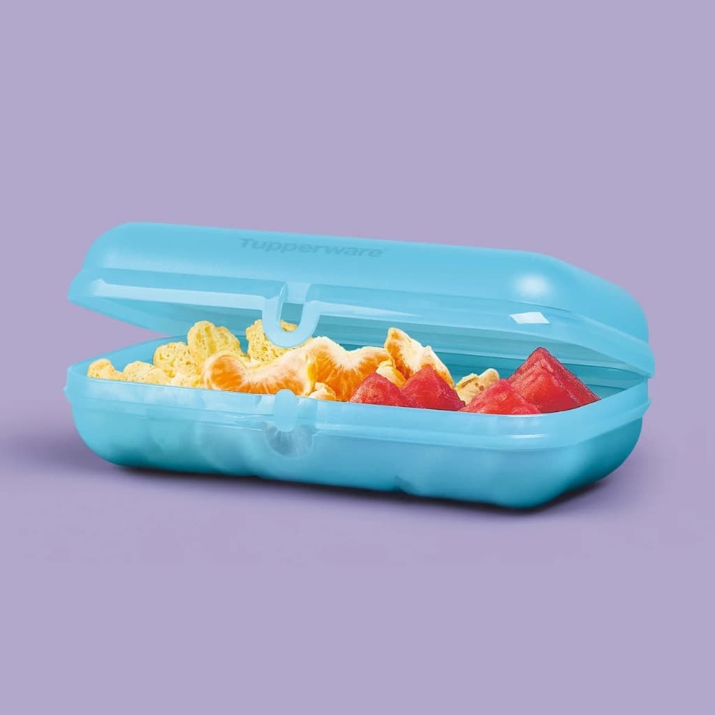 Tupperware Snack Grande Porta Sanduiche Retangular