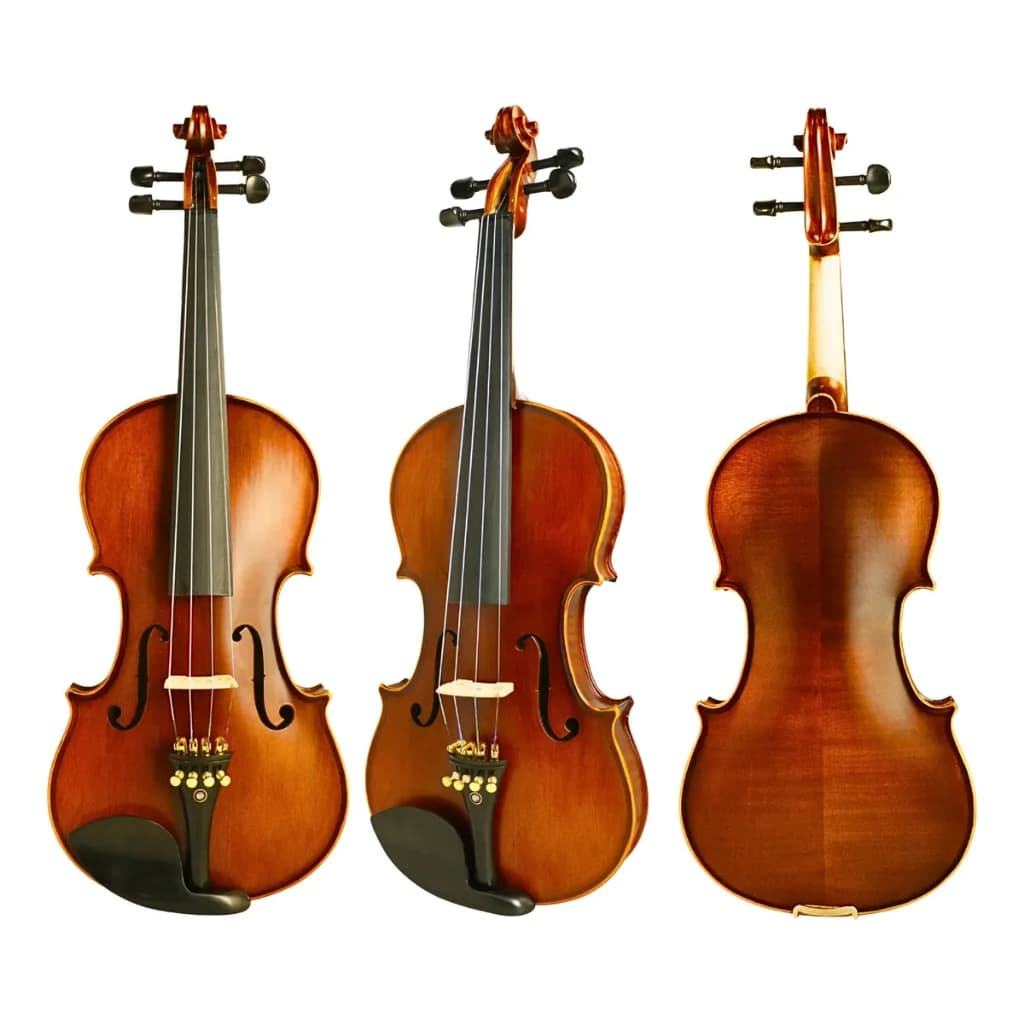 Violino Vk659 Profissional 4/4 Ajustado Por Luthier Konig Fosco Vintage Completo