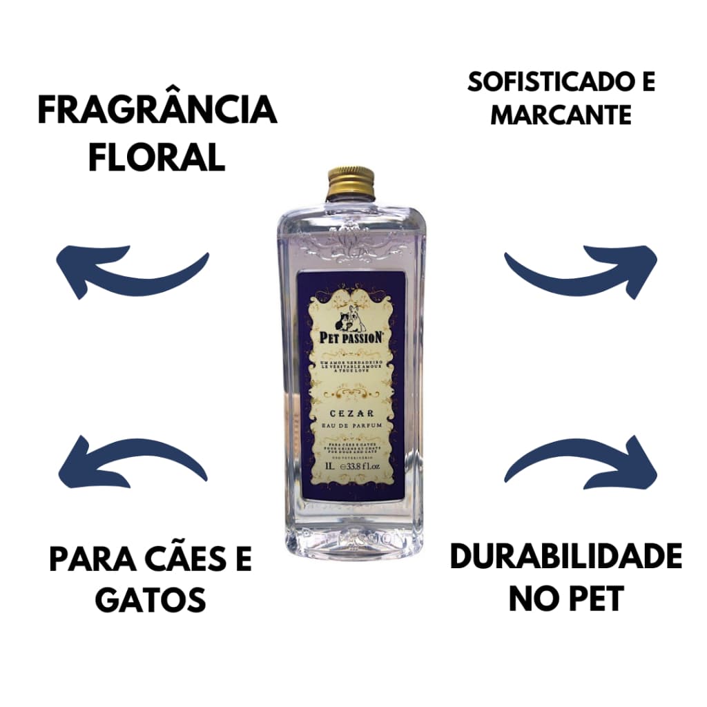 Perfume Cezar 1l Pet Passion Para Banho  Perfume pet de alta fixação importado Perfume de 1 litro