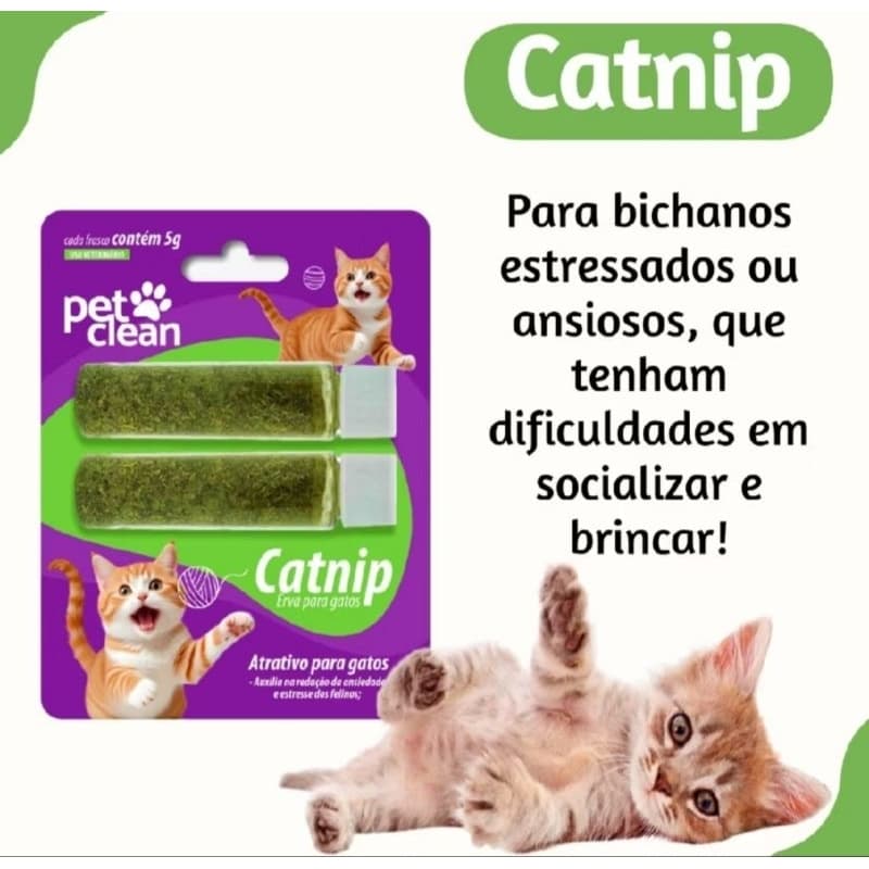 Erva Atrativo Catnip para Gatos antisstress