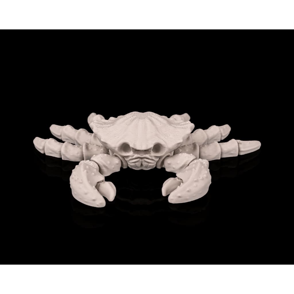 Esqueleto de Caranguejo Flexível Articulado Impressão 3d 14 cm