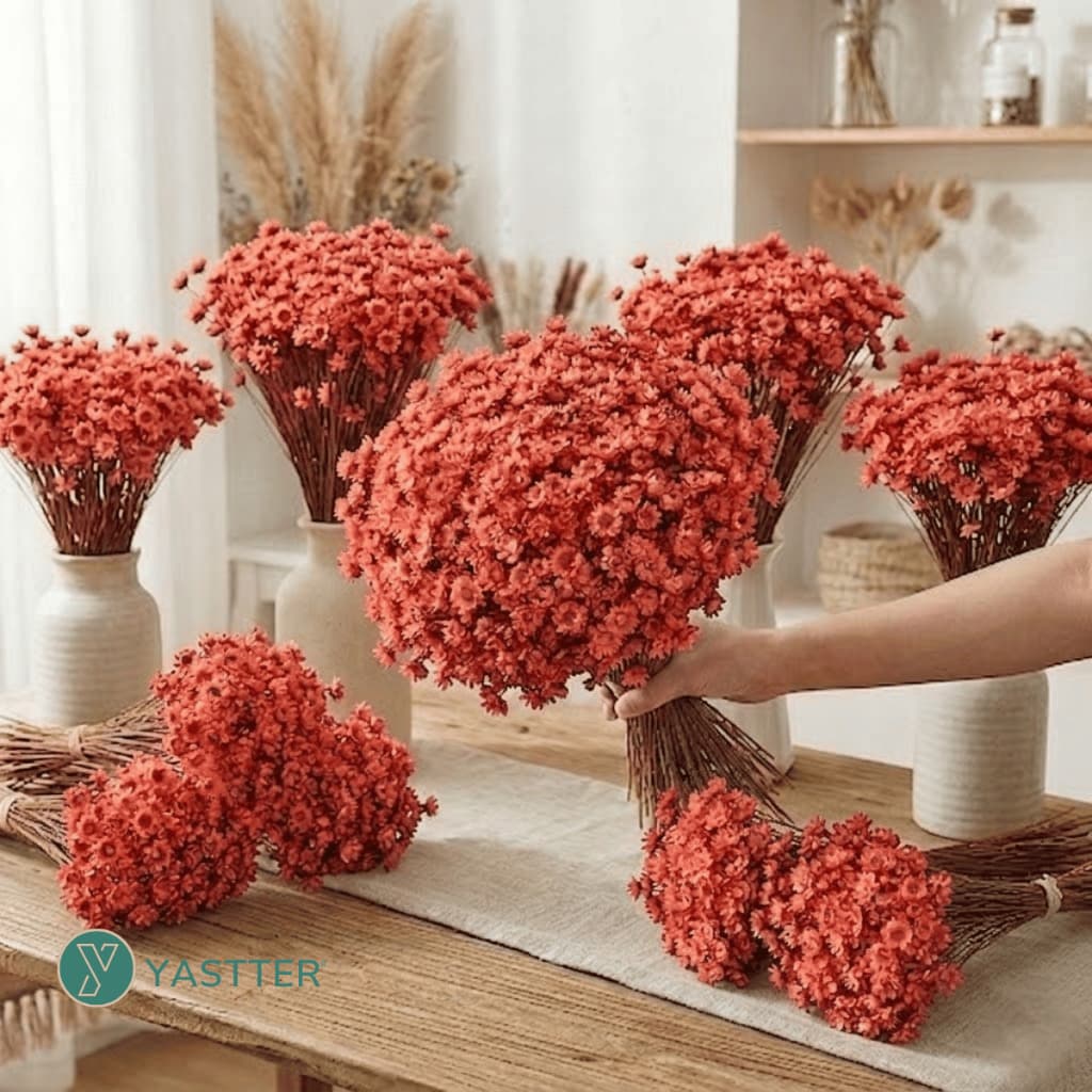 Flor Sempre Viva Premium Seca e Desidratadas Cor Salmão | 200 a 1.000 Flores Decoração e Buquê
