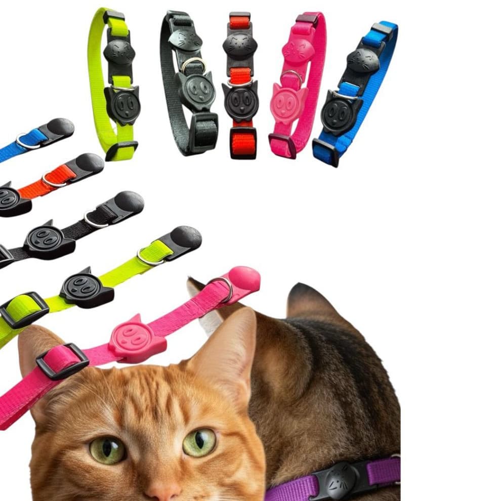Coleira para gato anti-enforcamento confortável no pescoço para Pet adulto ou filhote felinos
