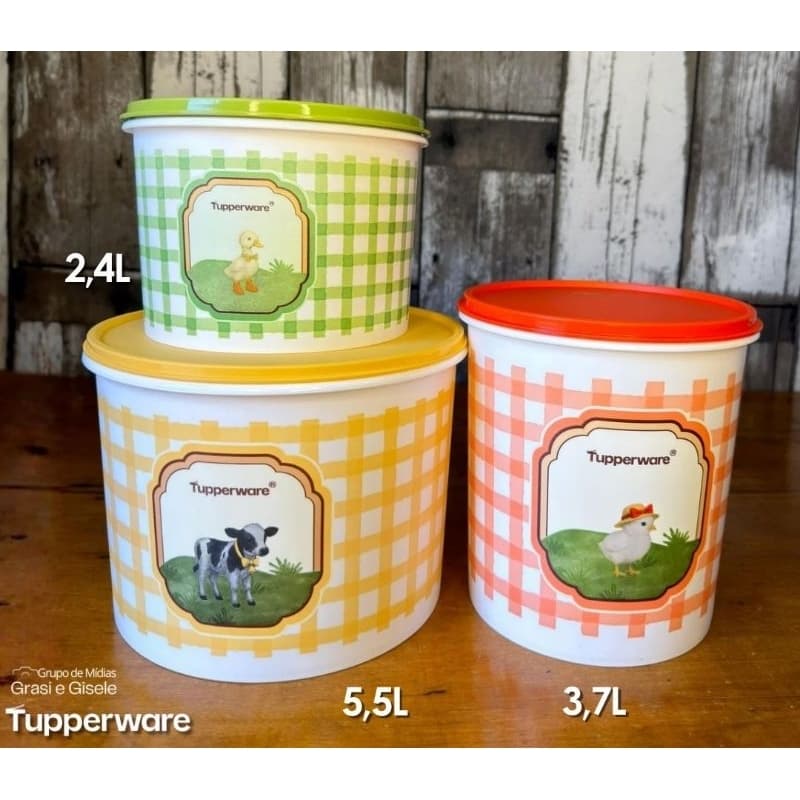 Kit Na Roça Tupperware/ Caixa para mantimentos/ Tupperware Original