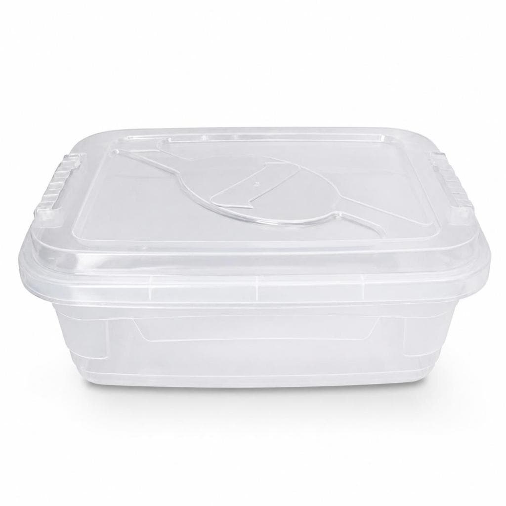 Kit Caixa Organizadora Plástica 5L Transparente Multiuso Tampa Trava Empilhável Resistente Compacta
