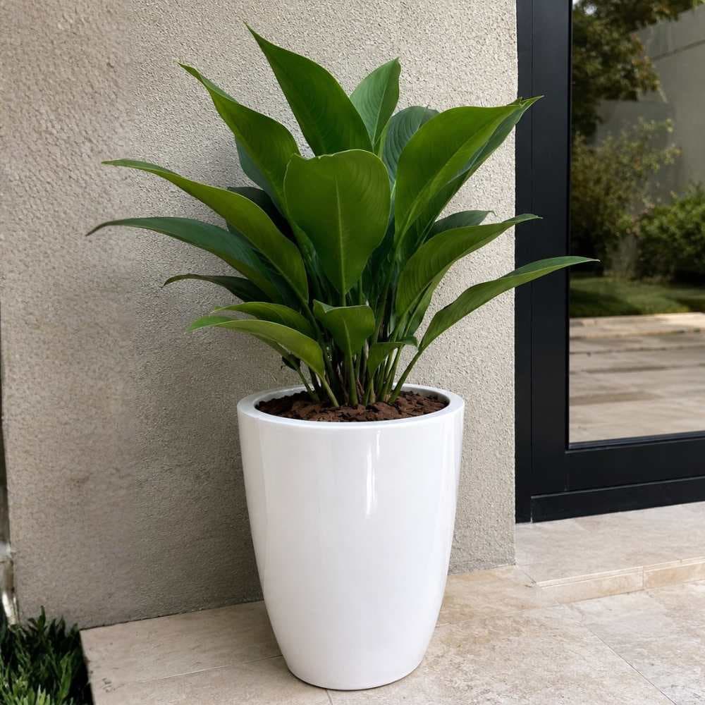 Vaso Decorativo Fibra de Vidro Moderno ROMA P 50CM LINDO VASO