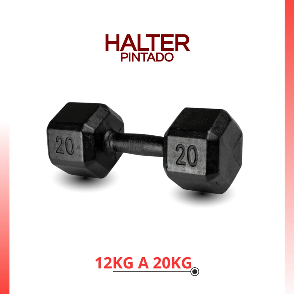 Halter Sextavado Pintado Unid 12 a 20 kg Dumbell | Treino em Casa Musculação Funcional Peso