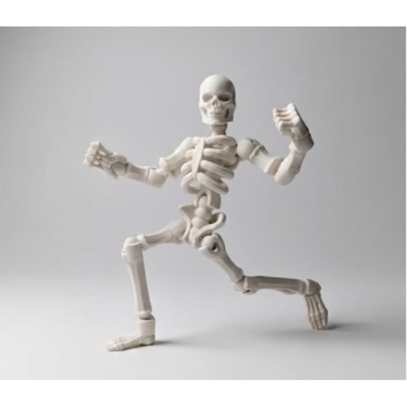 Esqueleto Articulado 3D – Montagem Criativa e Decorativa