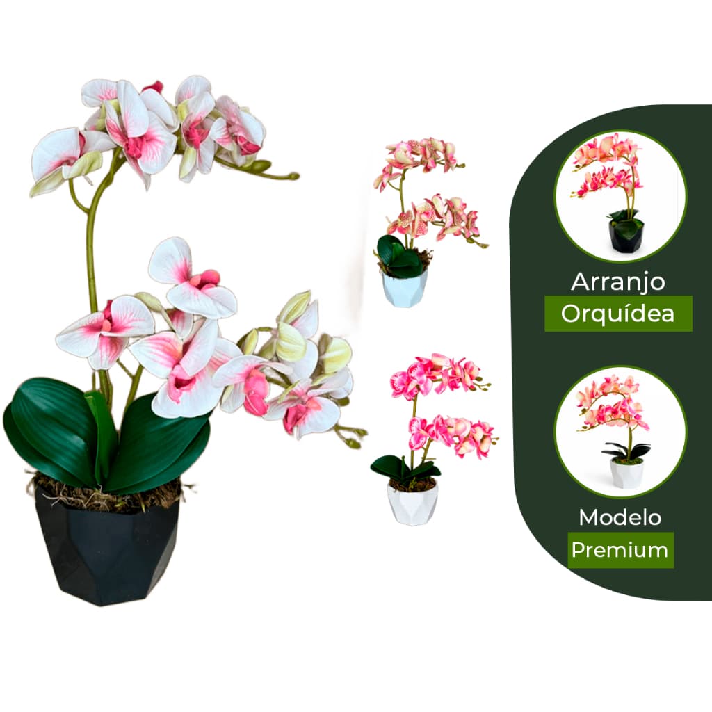 Arranjo Completo de Orquídea com Vaso Geométrico e Musgo Natural
