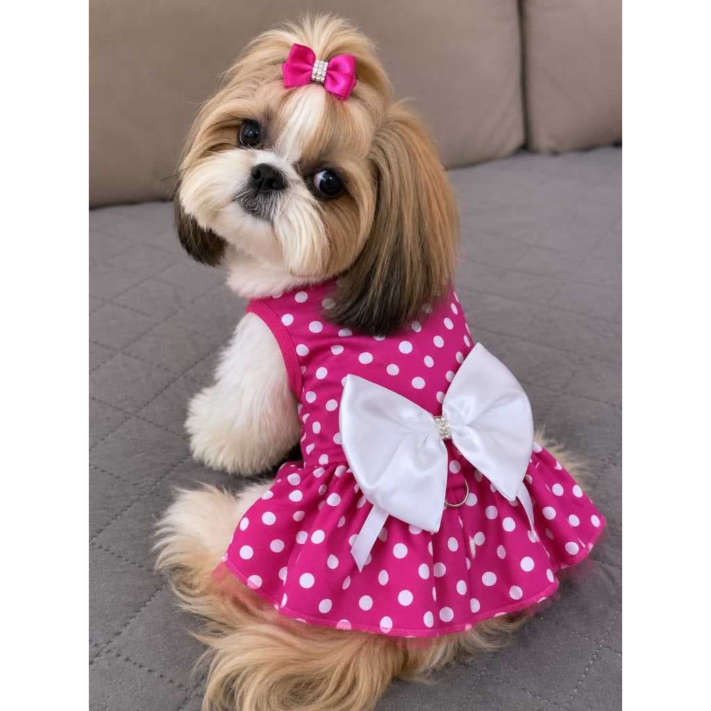 Vestido Para Cachorro Roupa Pet Fêmea Estampa Poá Rosa Com Lindo Laço Com Suporte Para Guia