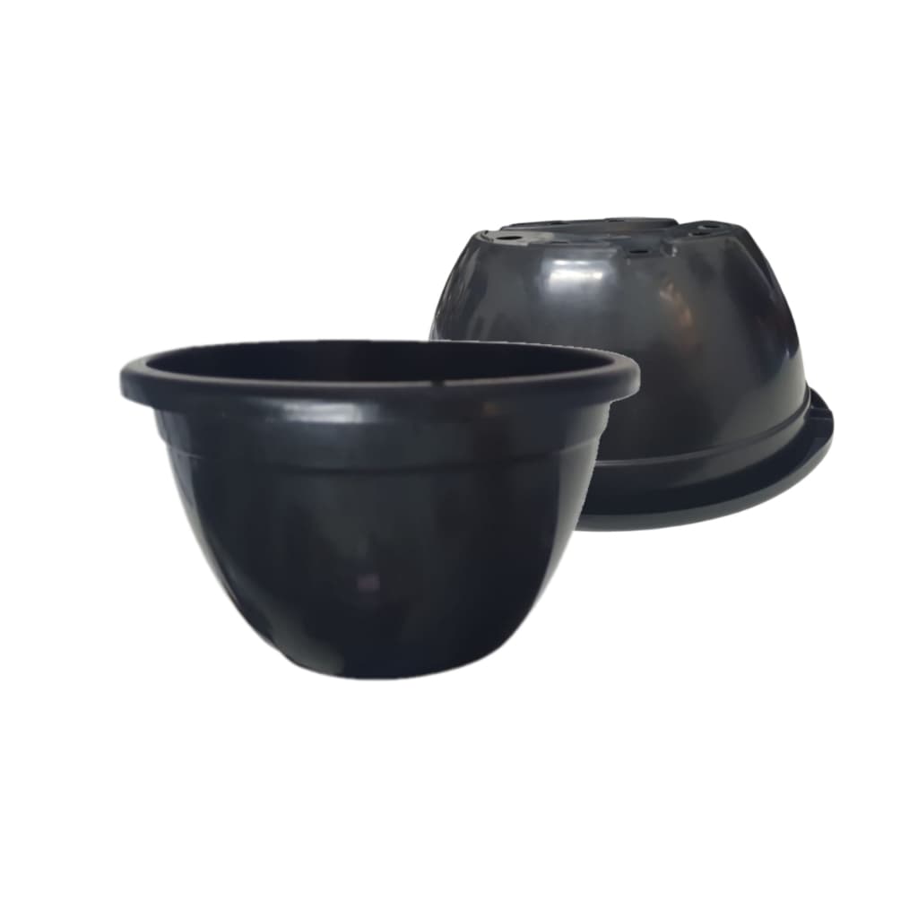 Cuia 21cm Plantas Flores Suculentas Samambaias Jardim Vertical Tmtsuportes