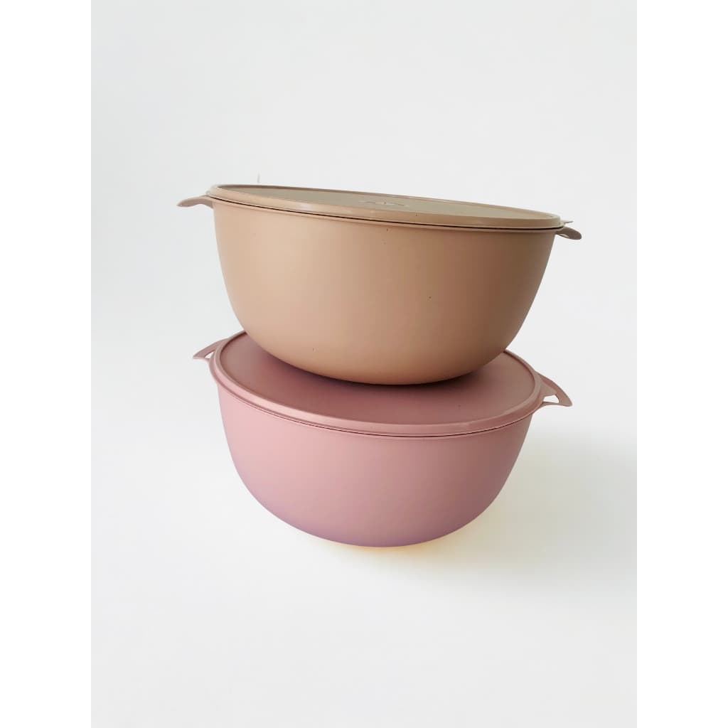 Kit 2 PotesBowls  Multiuso 5,8L com Tampa | BPA Free | 32x32x14cm