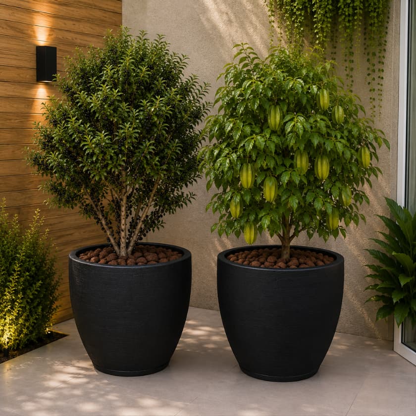 Kit 2 Vaso de Planta para Arvore Frutifera altura de 42cm e diâmetro de 50cm