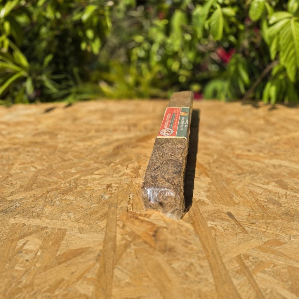 Tutor de Fibra de Coco 80cm Suporte para Plantas Trepadeiras Monstera Jiboia Filodendro Orquídea Samambaia