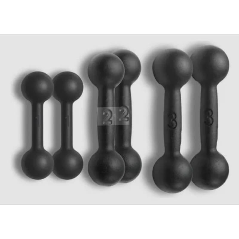 Par halteres musculação peso academia