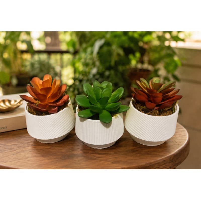 Mini Vasinhos para suculentas/Mini vasinhos para plantinhas/Mini vasinhos com suculentas para quarto sala e varanda