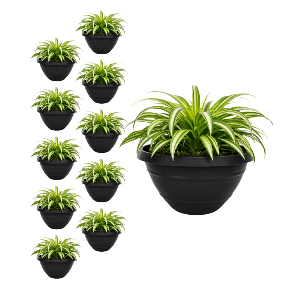 Kit 10 Vaso de Parede Preto Meia Lua 450 ml Plástico para Flores Plantas Decoração Horta Vertical