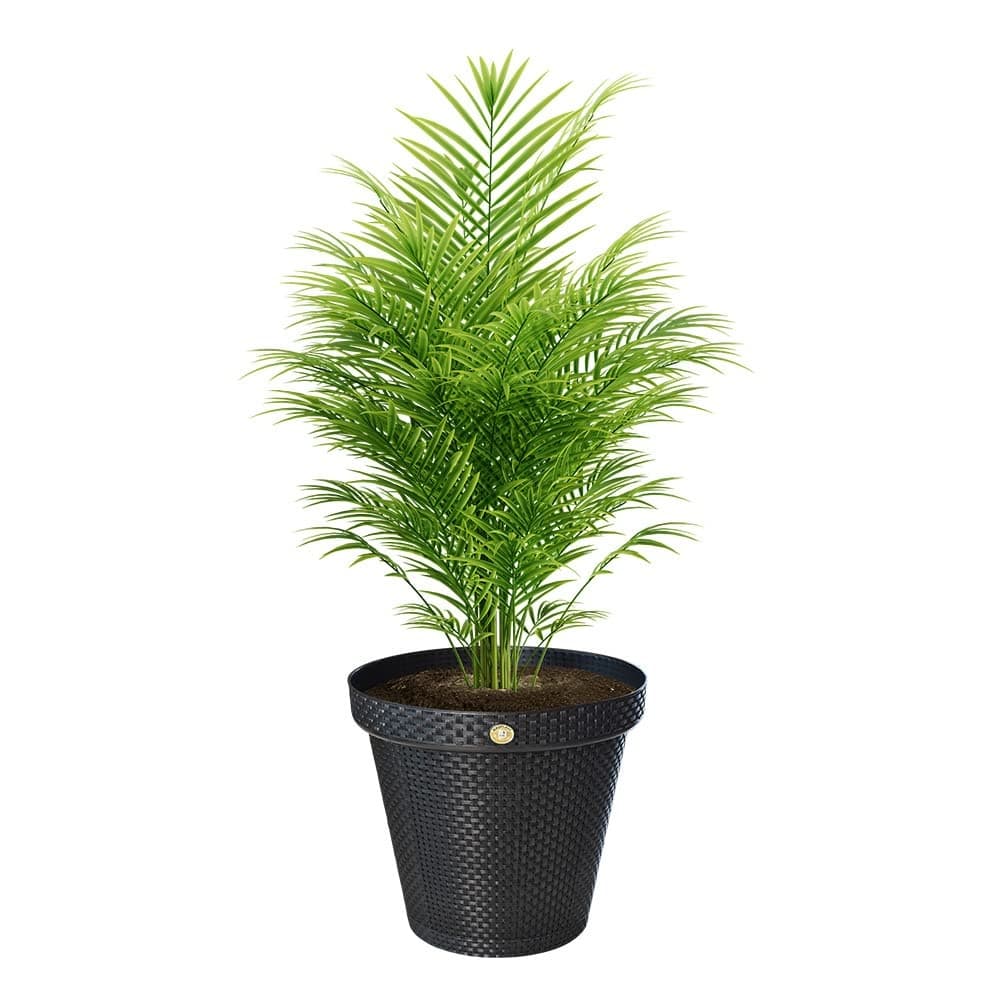 Vaso Redondo Rattan Arqplast 20 L Preto com Prato Anti-Dengue