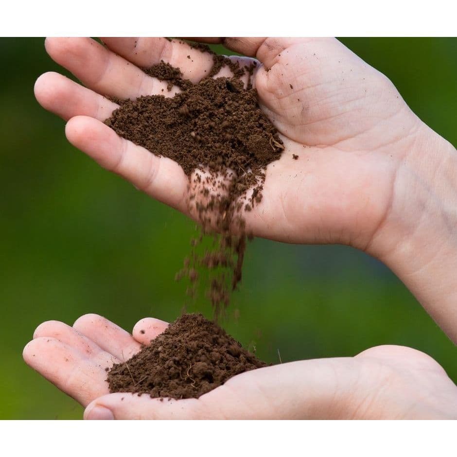 Terra Preta 1kg – Solo Fértil e Natural para Jardim