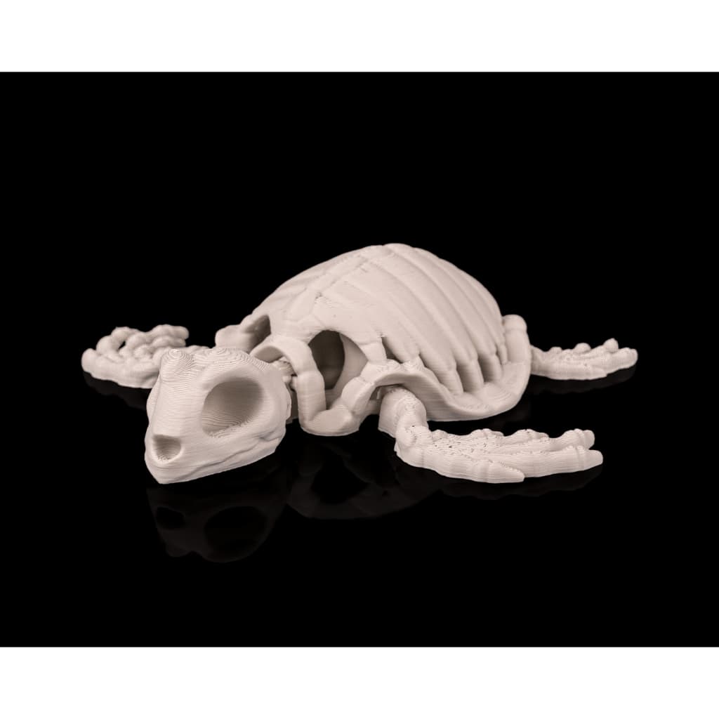Esqueleto de Tartaruga Flexível Articulado Impressão 3d 12 cm