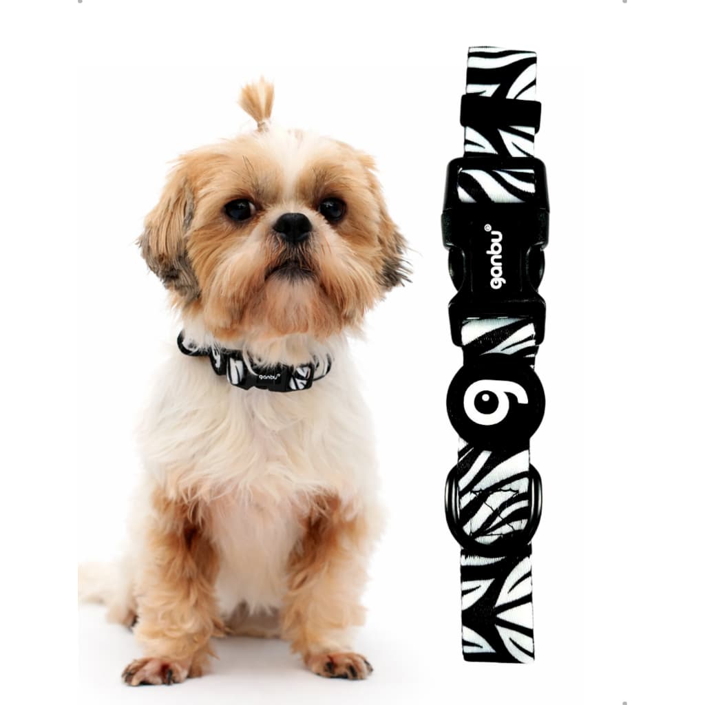 Coleira Dog Animal Zebra Ganbu