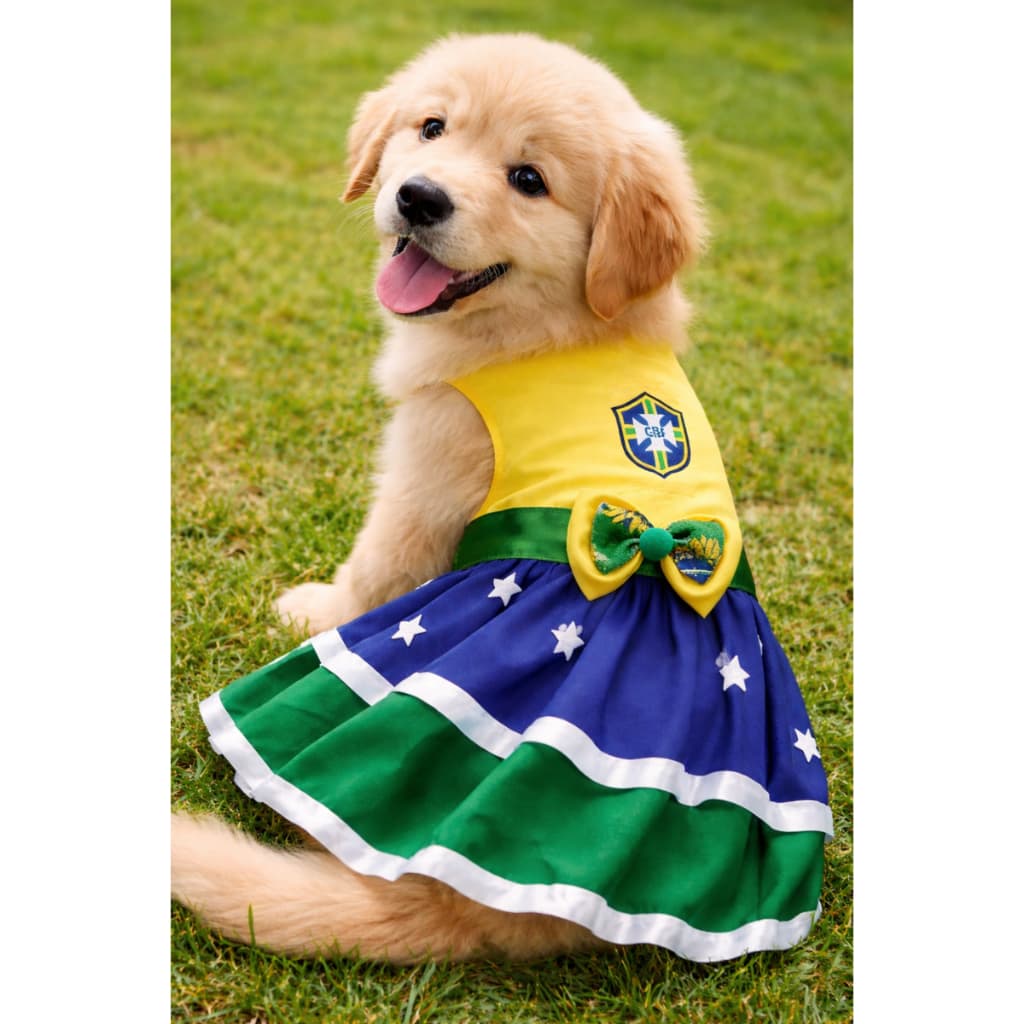 Vestido Pet Brasil para Cachorro 🇧🇷 | Roupa Pet  Porte Pequeno e Médio e Grande | Copa